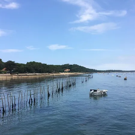 Le Pavillon Bleu 호텔 3*