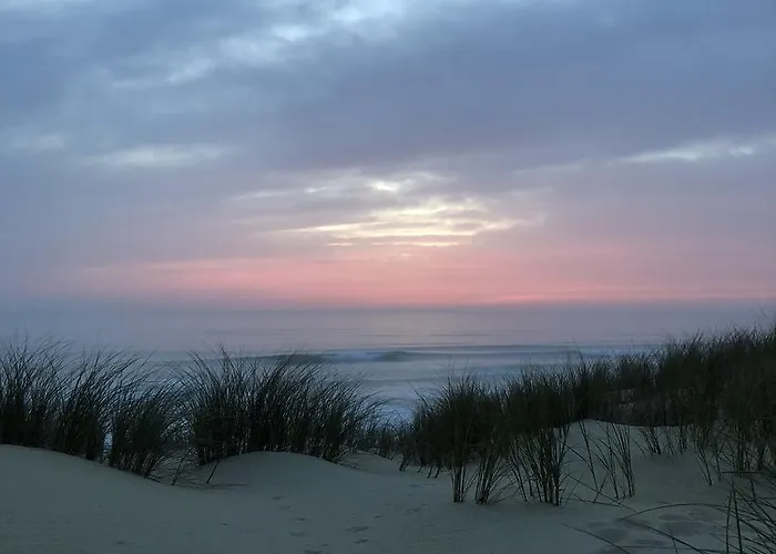 Le Pavillon Bleu Hotel