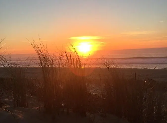 Hotel Le Pavillon Bleu 3*