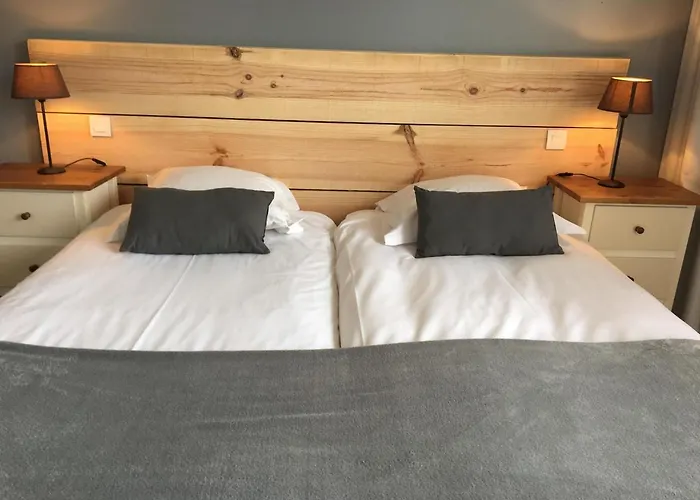 ホテル Le Pavillon Bleu 3*